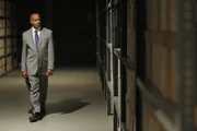 Ein neuer Fall beschäftigt Vance (Rocky Carroll) und sein Team ...