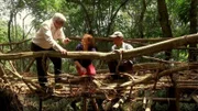 Das indigene Volk der Khasi erbaut im nordostindischen Bundesstaat Meghalaya sogenannte lebende Brücken.