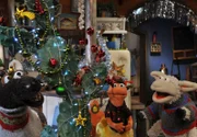 Pferd, Wolle und Finchen haben alles weihnachtlich dekoriert.