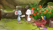 Molly hat Post von ihrer Brieffreundin bekommen: Sie kommt zu Besuch!