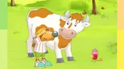 Ein kleines Kalb wird geboren.