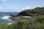 Auf La Réunion nutzt Danyèl Waro das lange verachtete Réunion-Kreolische, um diese Sprache singen und jubeln zu lassen.