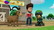 L-R: Garbie, Ryder, Chase
