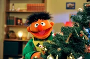 Ernie freut sich auf das Weihnachtsfest.