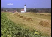 Unser Dorf soll hässlich werden - Filmemacher Dieter Wieland sucht 1975 die effektivsten Möglichkeiten, wie man aus einem schönen Dorf ein hässliches macht. Diese Idylle findet man fast nur noch auf Postkarten.