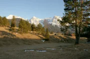 Die zweiteilige Dokumentation „Unsere Berge im Wandel” zeigt, wie sich die Natur in unseren Bergen in den letzten Jahrzehnten verändert hat.