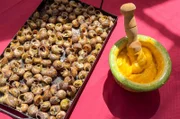 Eine spanische Delikatesse: In Lérida kauft Teresa Schnecken regionaler Herkunft und serviert diese mit selbst gemachter Aioli.