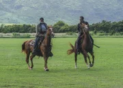 Joe White (Terry O'Quinn, l.); Steve McGarrett (Alex O'Loughlin, r.)