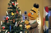 Bert bei den Vorbereitungen für das Weihnachtsfest.
