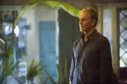 Ein neuer Fall beschäftigt Pride (Scott Bakula) und sein Team ...