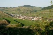Ab den 1960er bis in die 1980er Jahre wurden die Weinberge im Kaiserstuhl durch große Terrassen ersetzt: So wurden Lebensräume seltener Tierarten zerstört.