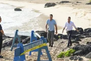 Steve McGarrett (Alex O'Loughlin, l.); Danny Williams (Scott Caan, r.)