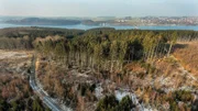 Der Arnsberger Wald reicht bis an das Ufer des Möhnesees. Wald und Wasser treffen hier aufeinander.