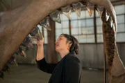 Dr. Sora Kim untersucht einen Satz Megalodon-Kiefer aus der Nähe