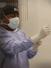 Dr. Blue preps for an exploratory stomach surgery on Yuki the Bulldog