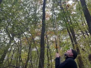 Dr. Simon Jansen von der BOKU Wien macht mit einer Steinschleuder "Jagd" auf Eichenknospen.