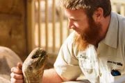 Galápagos tortoise and zookeeper.
