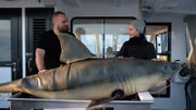 Michelle und Fish bereiten den Haifischköder mit Zahnwachs für das Wasser vor