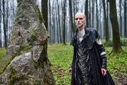 Mackenzie Crook als Veran