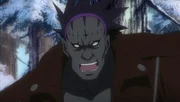Skinn Bolic