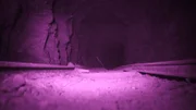 The railway tracks inside the Darwin Mine.