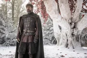 Jaime Lannister (Nikolaj Coster-Waldau)