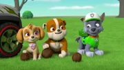L-R: Skye, Rubble, Rocky