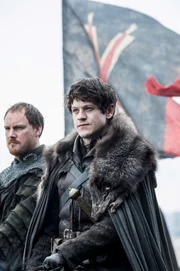 Paul Rattray as Harald Karstark, Iwan Rheon as Ramsay Snow