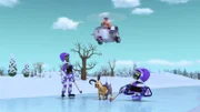 Digi (l.), Skye (oben), Garbie (unten), Tal (r.)