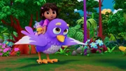 Oben, v.li.: Boots, Dora