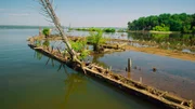 Die Mallows Bay im US-amerikanischen Maryland ist ein regelrechter Schiffsfriedhof.