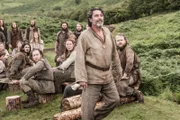 Ian McShane as Ray