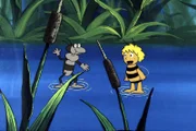 Der Wasserläufer will mit Maja tanzen.