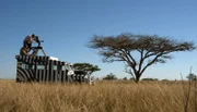 Bernhard Grzimek (Ulrich Tukur) und sein Sohn Michael (Jan Krauter) drehen gemeinsam den Tierfilm "Die Serengeti darf nicht sterben".