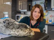 Im "Marine Mammal Rescue Center" in Vancouver, British Columbia, einem speziellen Krankenhaus für Meeressäuger, bekommen kranke, verletzte oder verwaiste Tiere eine zweite Chance. Im Bild: Hannah Emde