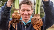 Peter Rasch zeigt, wie die Amaryllis auch im kommenden Jahr wieder schön blüht.