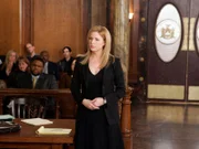 Diane Neal as A.D.A. Casey Novak