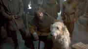 Mattis (Christopher Wagelin) und seine Bande möchte ihre Rivalen loswerden.