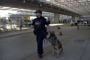 CBP-Beamter Plamondon geht mit seinem K9 Terka spazieren, während sie am San Ysidro Port of Entry in San Diego, Kalifornien, auf den vorgelagerten Fahrspuren patrouillieren (National Geographic for Disney).