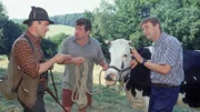 Benno (Willi Thomczyck, M.) und Lothar (René Heinersdorff, r.) versuchen dem Förster (Georg Panczak, l.) zu erklären, dass sie die Kuh Sybille nicht von der Weide gestohlen, sondern beim Pokern gewonnen haben.
