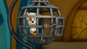 Bubble Puppy