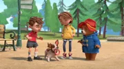 L-R: Jonathan Brown, Lucky, Judy Brown, Paddington