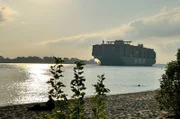 Am Elbstrand in Blankenese hat man die beste Sicht auf die vorbeifahrenden Containerschiffe.