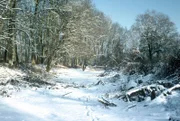 Winterlandschaft in Drösing.