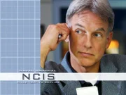 Mark Harmon
