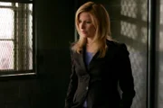 Diane Neal as A.D.A. Casey Novak