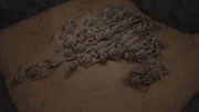 Die Dokumentation forscht nach und geht den Geheimnissen und Reichtümern der verlassenen Stadt auf den Grund.