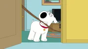 Brian Griffin