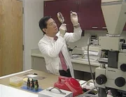 Mit detektivischer Genauigkeit untersucht der Pathologe Henry Lee die gefundene Haarsträhne.