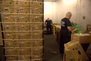 Zwei CBP-Beamte untersuchen Kisten mit Bananen auf Schmuggelware in Philadelphia, Pa. (National Geographic for Disney)